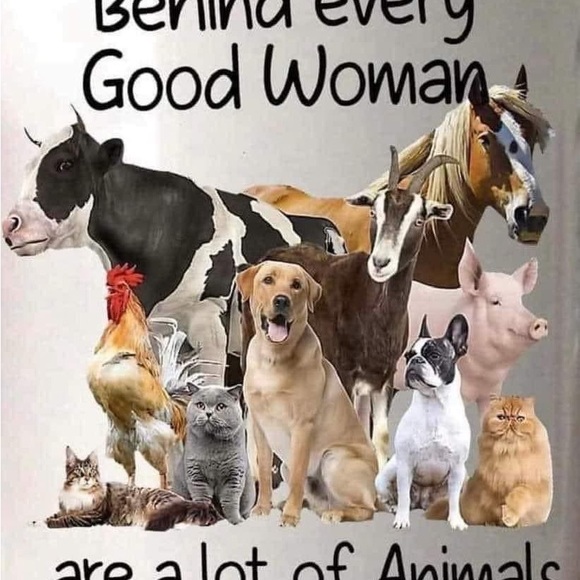 Meet your Posher, Jennifer - Picture 3 of 8